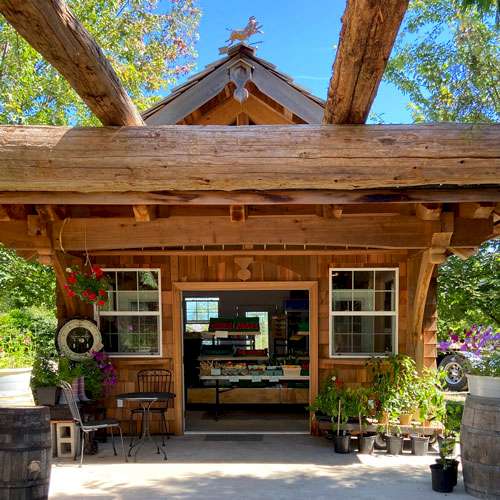 Winter at the Market