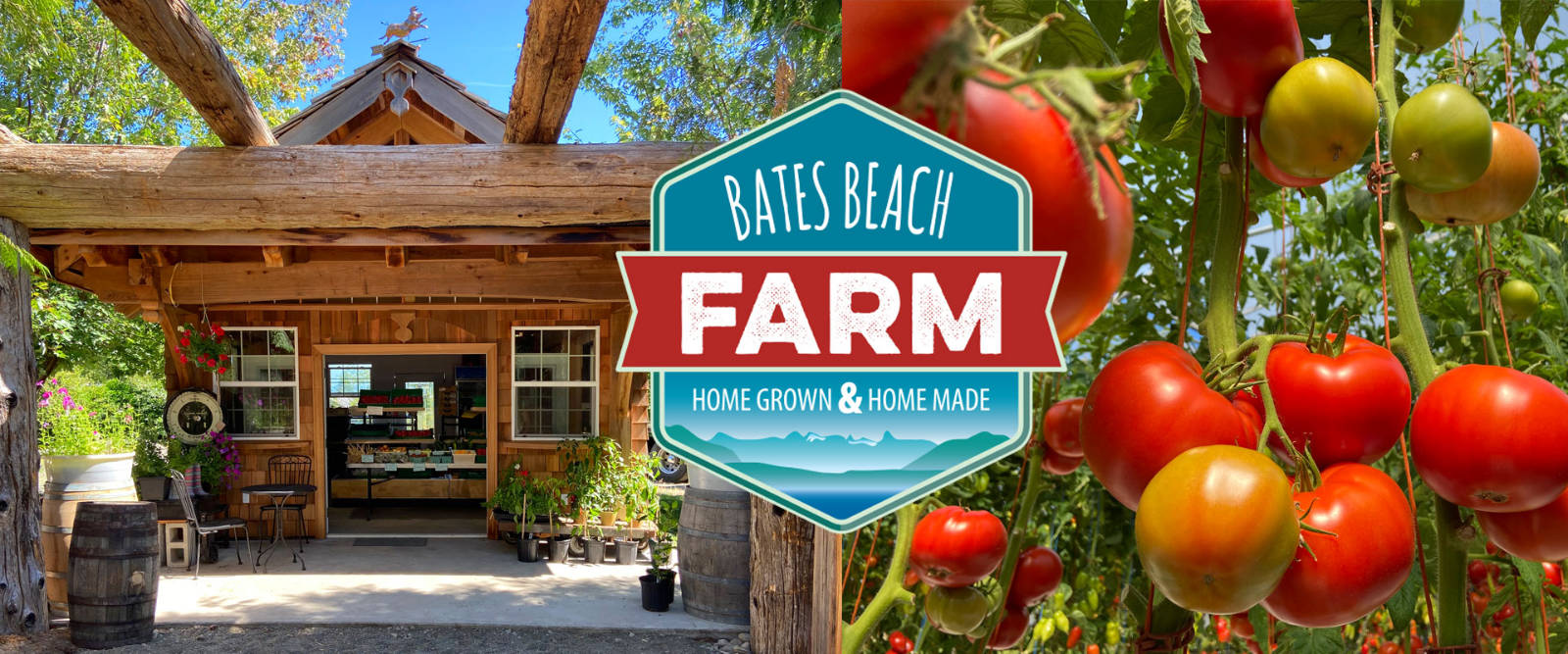 Bates Beach Farm